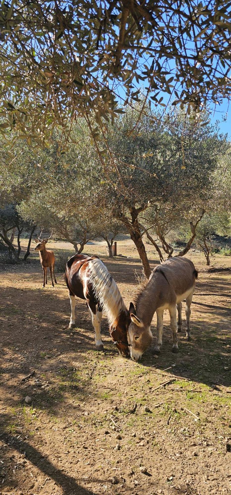 Maison Allauch La Gloire De Mon Pere מראה חיצוני תמונה